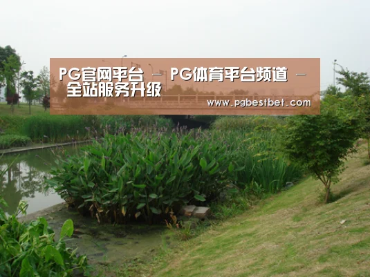 案例展示四(图1)