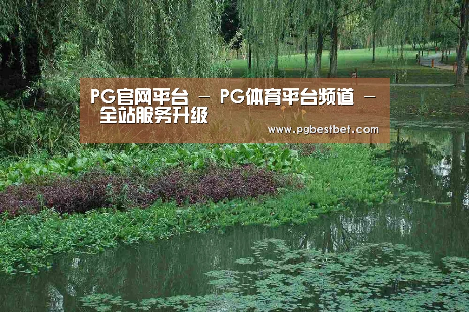 案例展示一(图1)