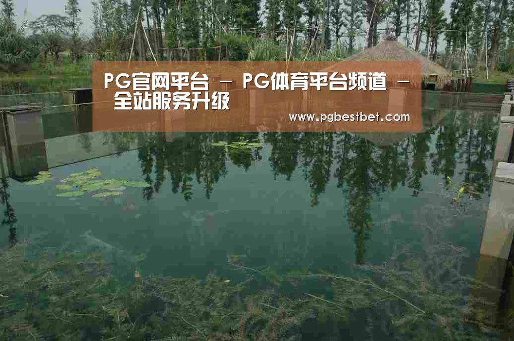 案例展示二(图1)