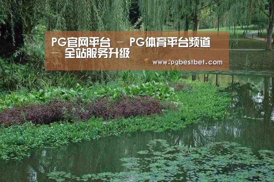 案例展示一
