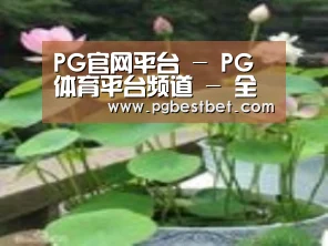 产品名称一