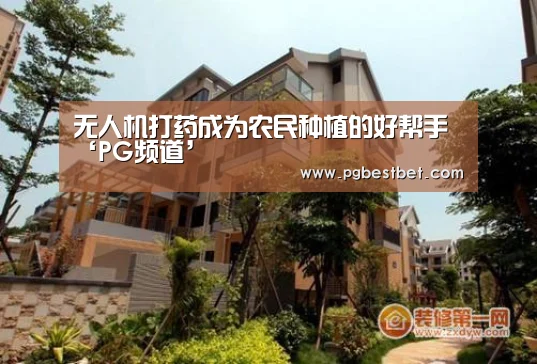 无人机打药成为农民种植的好帮手‘PG频道’(图2) PG服务