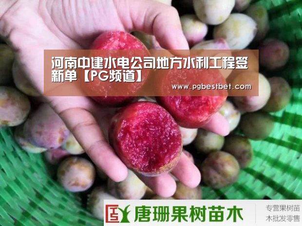 河南中建水电公司地方水利工程签新单【PG频道】(图2) PG官网